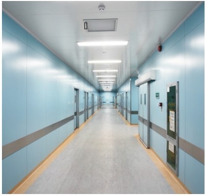 Good price Pannello LED/Pannello lampada a tenuta stagna, sala operatoria/ospedale in linea