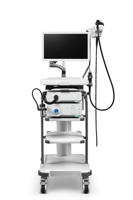 Alto endoscopio HD-500 a 24 pollici di definizione autorizzato VISITA
