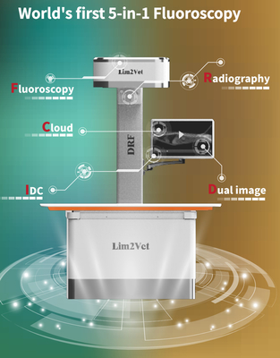 32 kW attrezzature mediche per veterinari macchina fluoroscopica in tempo reale DR