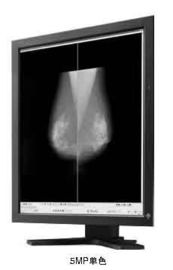 Good price il grado medico della scala di grigi 5mp visualizza 20.1in e Eco amichevoli in linea